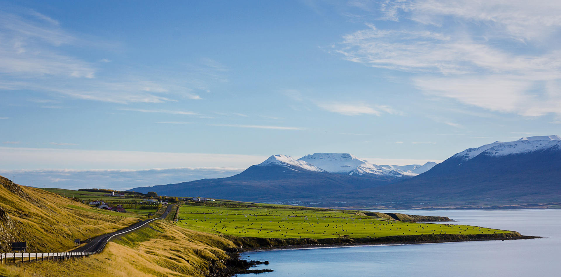 基于深度調(diào)峰和高堿燃料的智慧環(huán)保島控制大模型及相關(guān)優(yōu)質(zhì)技術(shù)